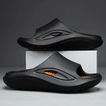 44651218338009|44651218370777|44651218403545|44651218436313|44651218469081